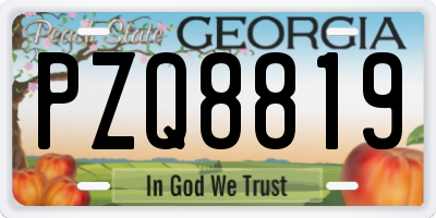 GA license plate PZQ8819