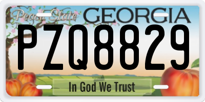 GA license plate PZQ8829