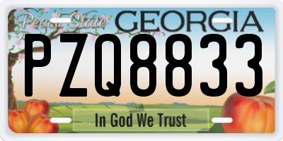 GA license plate PZQ8833