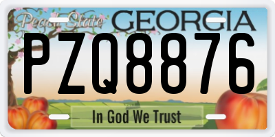 GA license plate PZQ8876