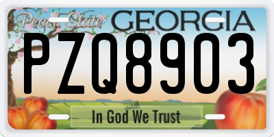 GA license plate PZQ8903