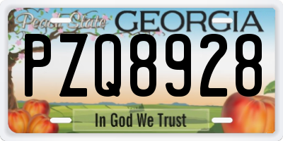 GA license plate PZQ8928