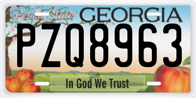 GA license plate PZQ8963