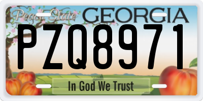 GA license plate PZQ8971
