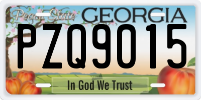 GA license plate PZQ9015