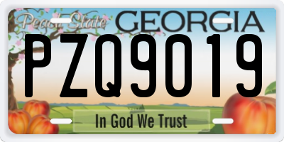 GA license plate PZQ9019