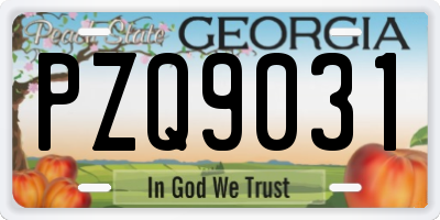 GA license plate PZQ9031