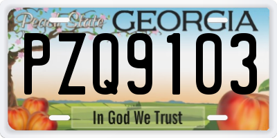 GA license plate PZQ9103