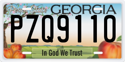 GA license plate PZQ9110