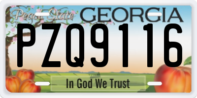 GA license plate PZQ9116