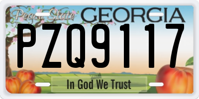 GA license plate PZQ9117