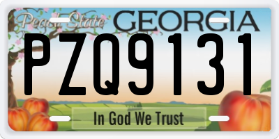 GA license plate PZQ9131