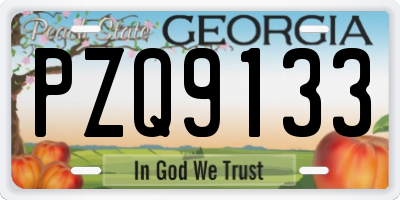 GA license plate PZQ9133