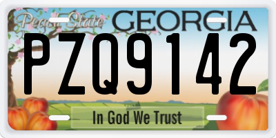 GA license plate PZQ9142