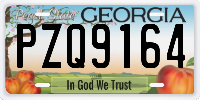 GA license plate PZQ9164