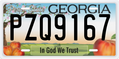 GA license plate PZQ9167