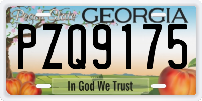 GA license plate PZQ9175