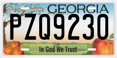 GA license plate PZQ9230