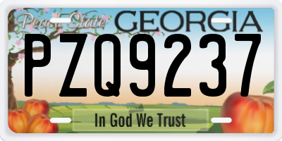 GA license plate PZQ9237