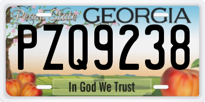 GA license plate PZQ9238
