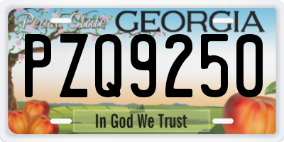 GA license plate PZQ9250