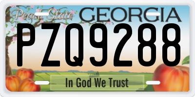GA license plate PZQ9288