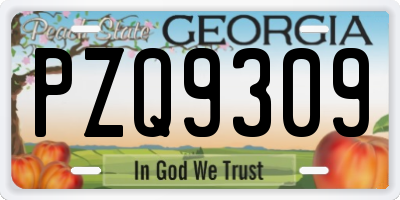 GA license plate PZQ9309