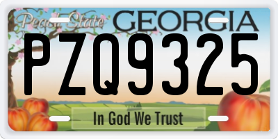GA license plate PZQ9325
