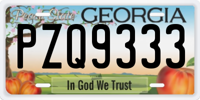 GA license plate PZQ9333