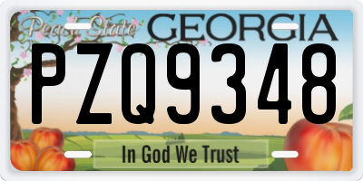 GA license plate PZQ9348