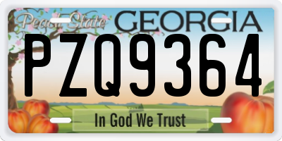 GA license plate PZQ9364