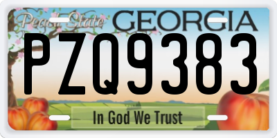 GA license plate PZQ9383