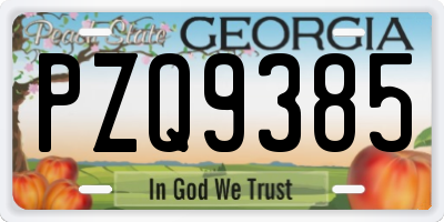 GA license plate PZQ9385