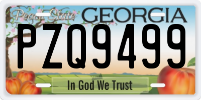GA license plate PZQ9499