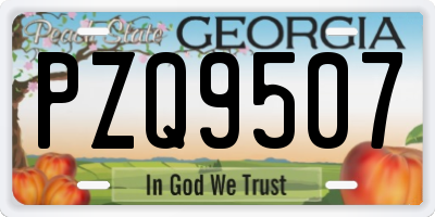 GA license plate PZQ9507