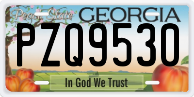 GA license plate PZQ9530