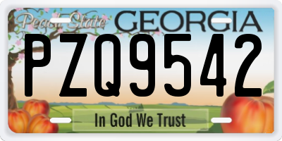 GA license plate PZQ9542