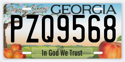 GA license plate PZQ9568