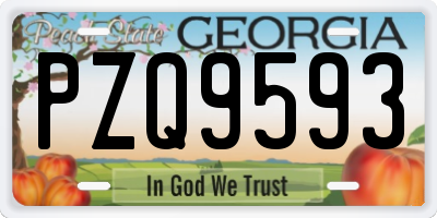 GA license plate PZQ9593