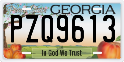 GA license plate PZQ9613