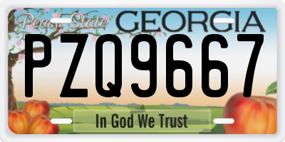 GA license plate PZQ9667
