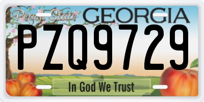 GA license plate PZQ9729