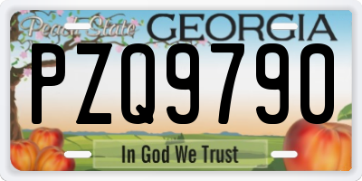 GA license plate PZQ9790