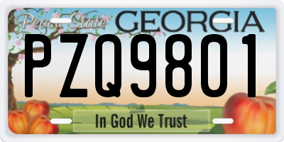 GA license plate PZQ9801