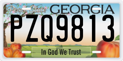 GA license plate PZQ9813