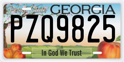 GA license plate PZQ9825