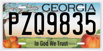 GA license plate PZQ9835