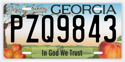 GA license plate PZQ9843