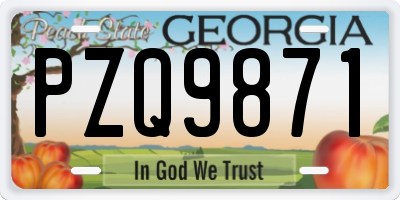 GA license plate PZQ9871