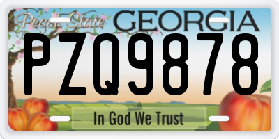 GA license plate PZQ9878